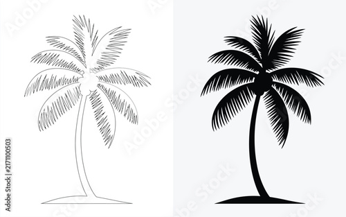 Curved coconut palm tree silhouette illustration with sketched outline