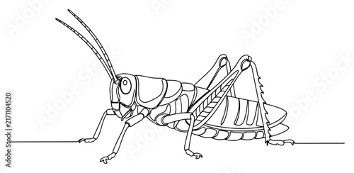 Картината върху платно Grasshopper insect one line art drawing, minimalist cricket or locust vector ill