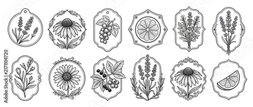 Vintage Botanical Illustration Badges Set