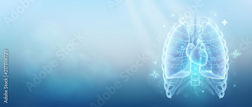 Chest cavity 3d render blue light illustrating the rib cage and internal structure. This digital visualization celebrates the progress of medical imaging for International Day of Radiology.