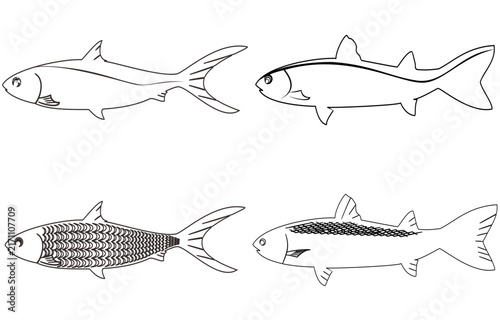 Various vector line art styles depicting mullet and milkfish.