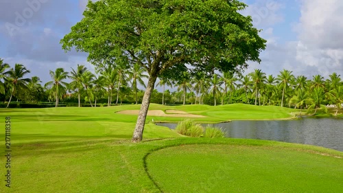 Panorama of a beautiful golf park with a pond. Picturesque green grass. A beautiful tree on a golf course under a clear blue sky. Lush green tropical landscapes. Summer park in sunny bright weather.