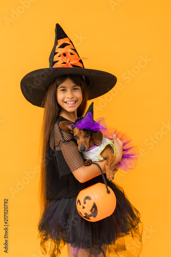 little brunette girl in a witch costume for Halloween against a yellow background in a studio with a dachshund dog, space for text