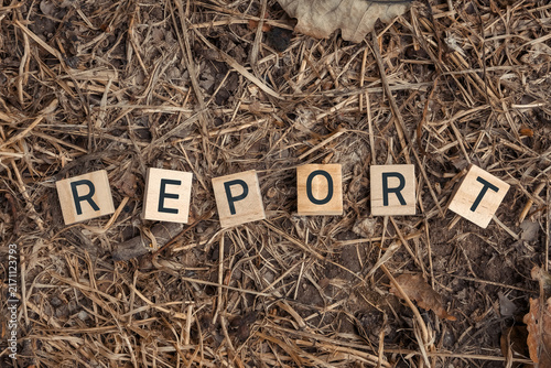 Wooden letter tiles arranged to spell 'Report' on a background of dry leaves and twigs, suggesting themes of nature and communication.