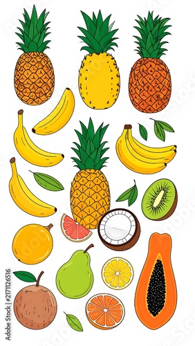 Colorful tropical fruits and pineapple slices illustration.
