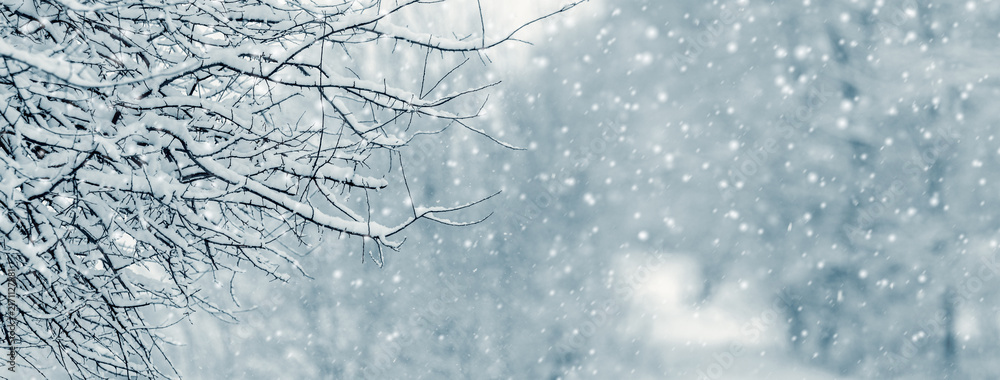 Naklejka premium Snow-covered tree branches against blurred background during snowfall in winter