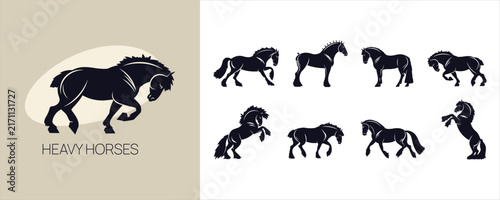 Heavy horse silhouettes collection showing powerful draft horses standing, walking, trotting and rearing in black vector illustration set