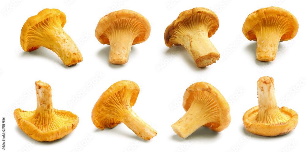 Naklejka premium Fresh chanterelles isolated on white, set. Edible mushrooms