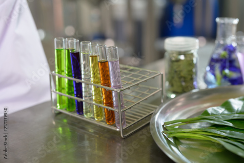 Konstfotografi A laboratory setup featuring a rack of colorful test tubes and fresh green leaves on a metal tray, hinting at plant-based scientific experiments