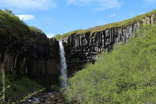 Fotografie Waterfall falling over black basalt columns into a gorge with green vegetation, Svartifoss, Iceland