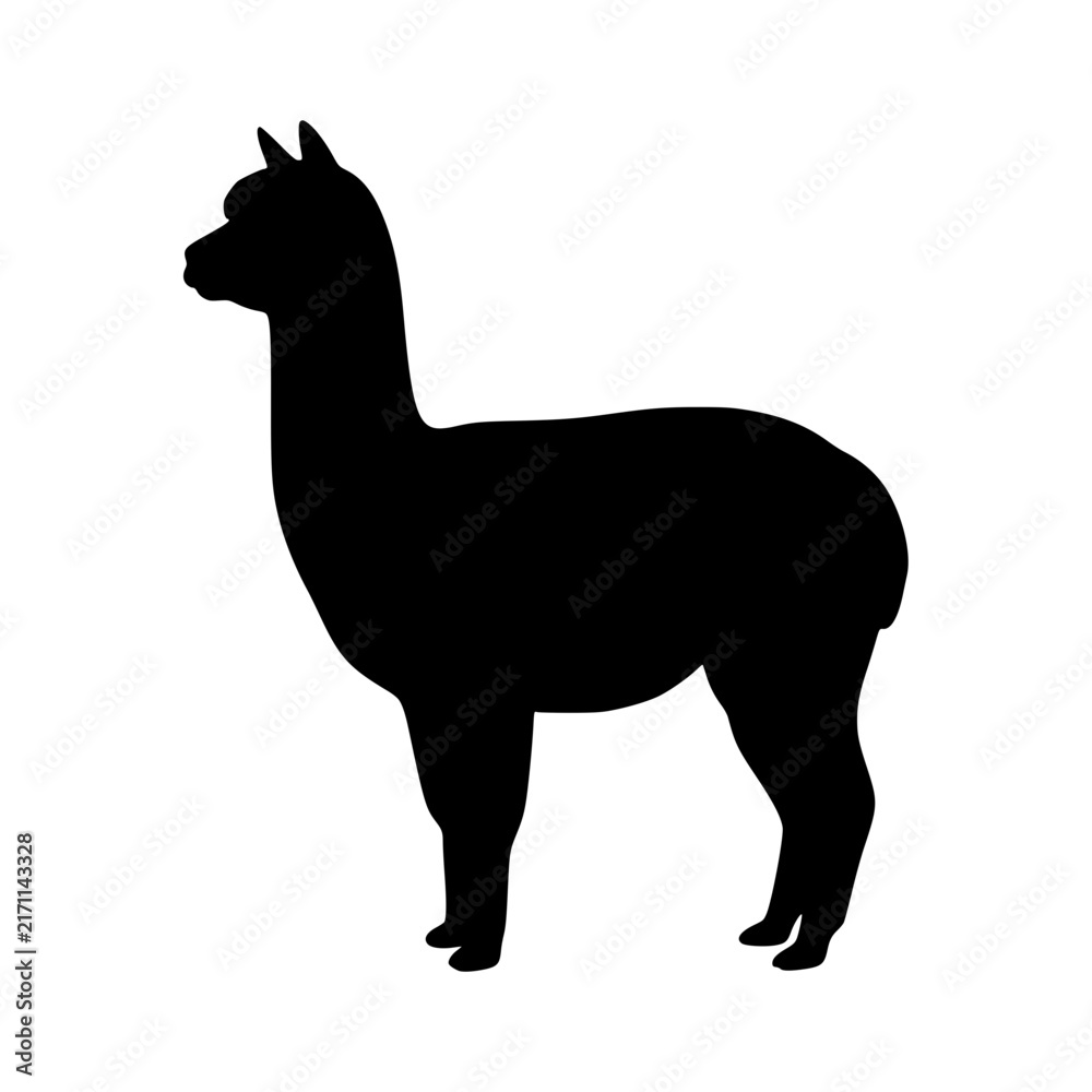 Naklejka premium Standing alpaca silhouette animal illustration