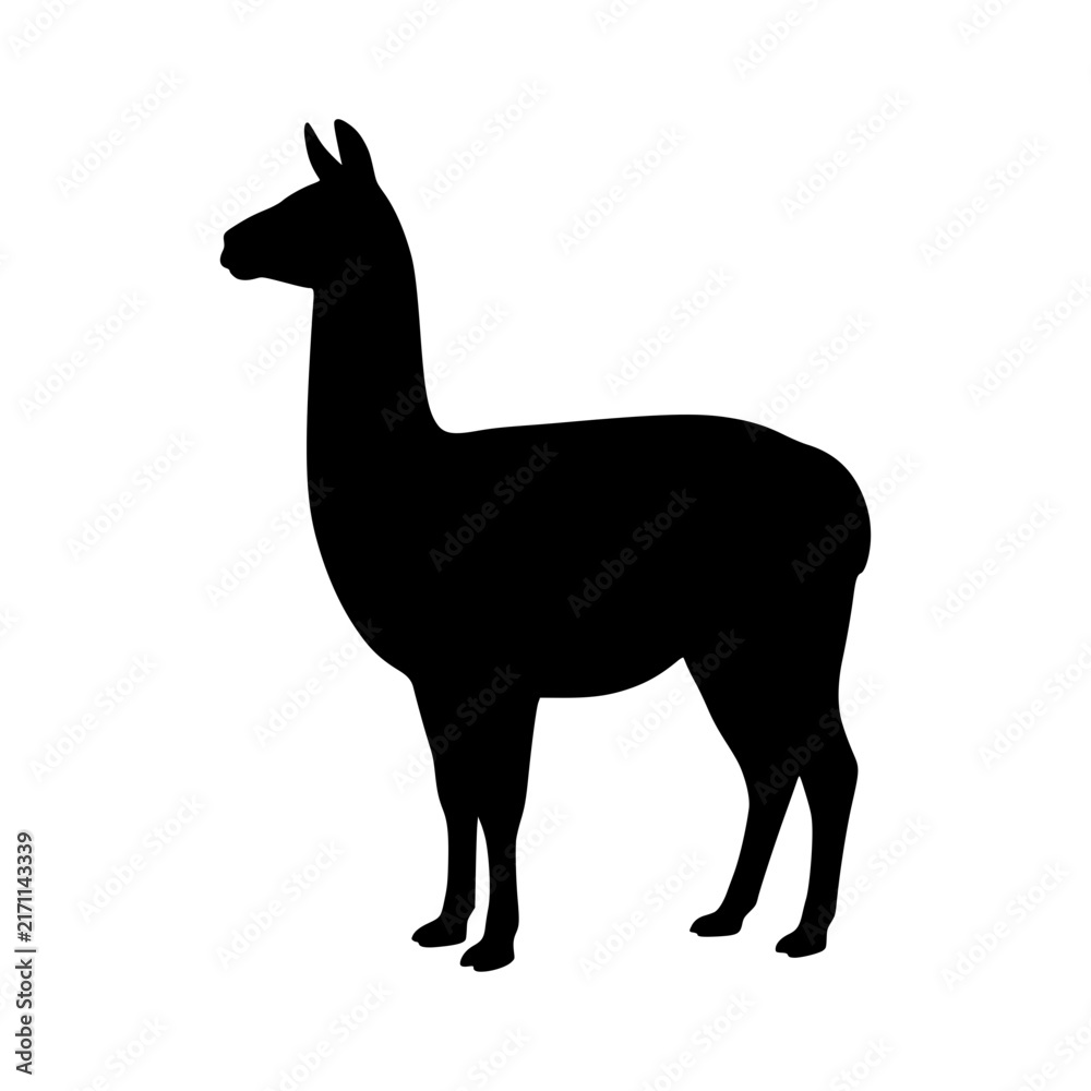 Fototapeta premium Standing llama silhouette animal vector illustration