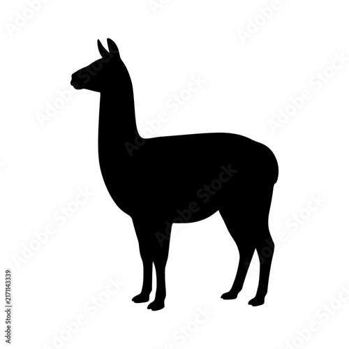 Standing llama silhouette animal vector illustration