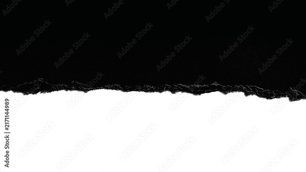 Fototapeta premium Torn Paper Edge Texture PNG with Transparent Background