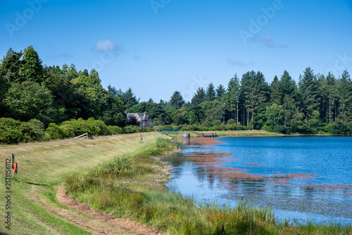 lake in the forest