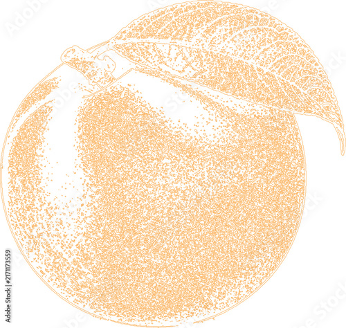 Orange fruit with leaf engraving style