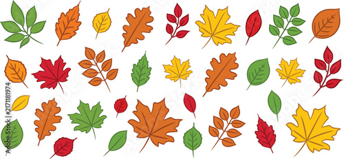 Seamless autumn fall leaf pattern vector set with oak and maple foliage. warm orange, yellow, and red foliage pattern background for seasonal graphics.