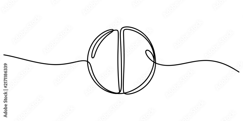 Obraz premium Simple circle divided in half by a single continuous line, abstract graphic representing duality or division, minimalist symbol for concepts.