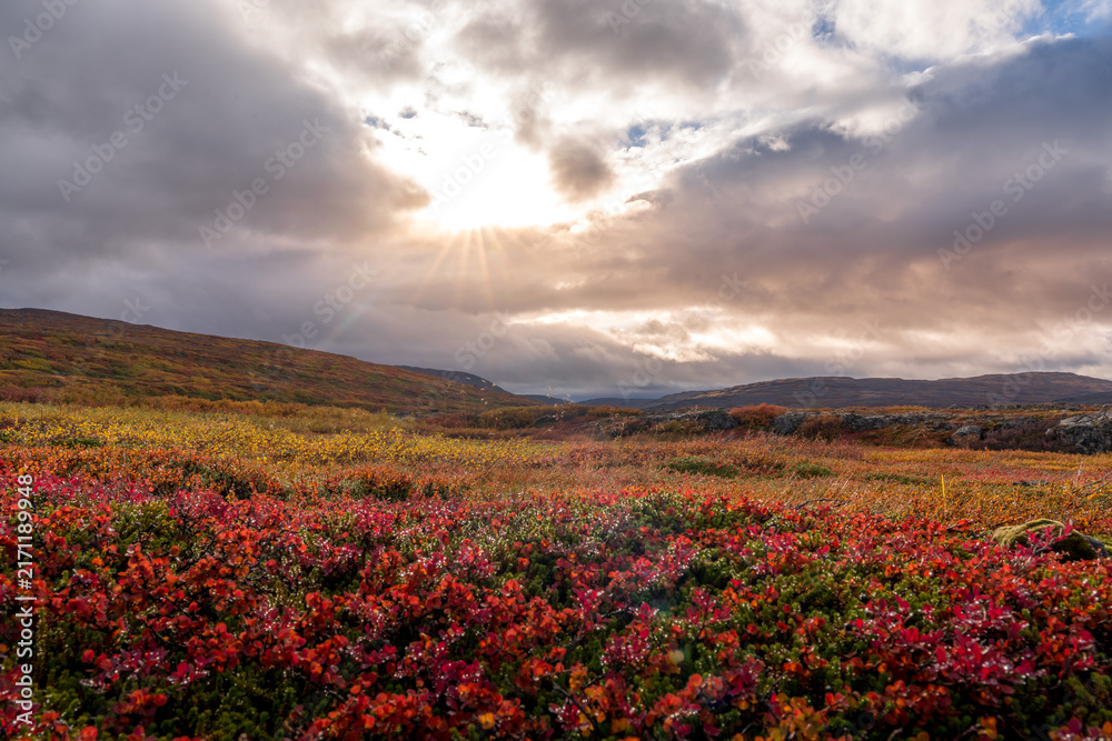 Obraz premium Herbst in den Westfjorden in Island