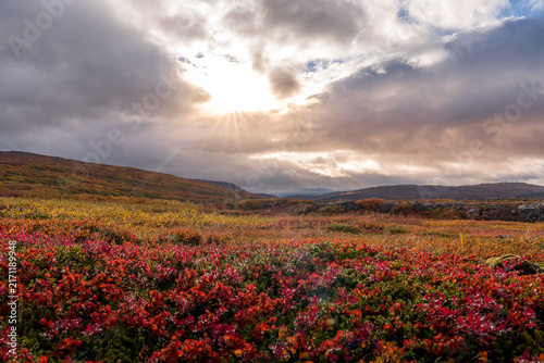 Herbst in den Westfjorden in Island