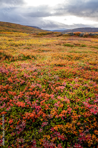 Herbst in den Westfjorden in Island