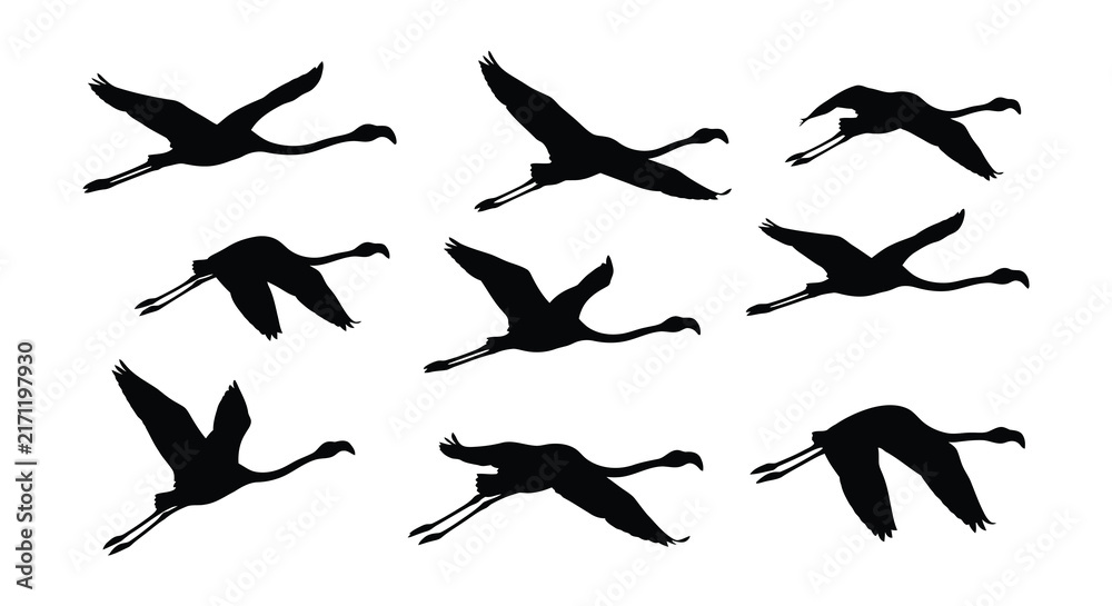 Naklejka premium Black silhouettes of flying cranes depict a dynamic vector illustration