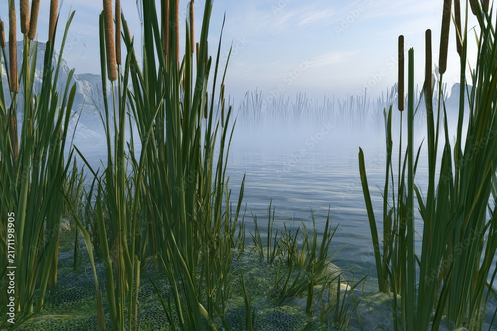 Obraz premium Pond edge at dawn with mist reeds frog, in shallow water with aquatic plants and soft reflections