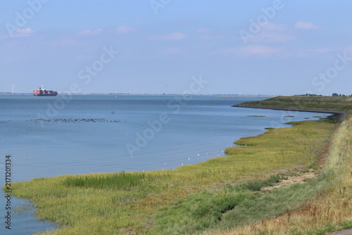 a beautiful view of the westerschelde sea with a bright green tidal salt marsh in a bend of the river in summer
