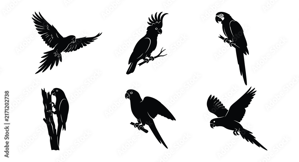 Naklejka premium Black parrot silhouettes depict various flight poses and perching positions