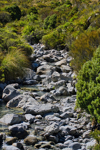 A clear mountain stream cascades over smooth stones and boulders surrounded by sub-alpine foliage. Black Range, Arthur’s Pass National Park, Canterbury, New Zealand
