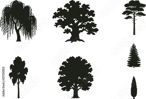 Silhouettes of various tree species including weeping willow oak pine cypress fir poplar black vector graphics.eps