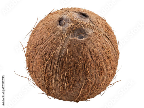 Whole brown coconut with hairy texture, organic tropical fruit isolated on white, raw exotic coconut nut for food packaging