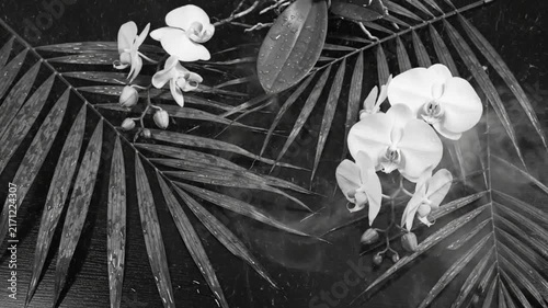 Black and white floral arrangement featuring orchids, palm fronds, and delicate misty effects in a zen minimalist ambiance