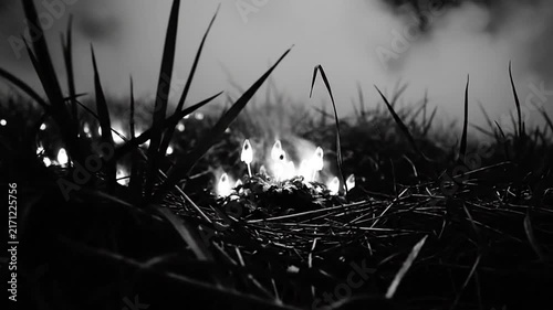 Low-angle shot of burning grass in a field, black and white nighttime scene with ominous smoke and flames