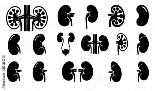 Black Kidney Anatomy Silhouette Collection for Medical and Urology Design