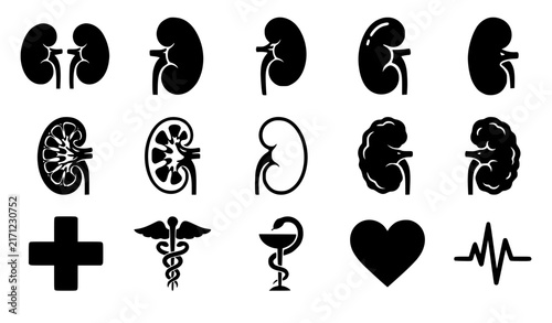 Human Kidney Silhouette Vector Set with Medical Anatomy and Healthcare Symbols