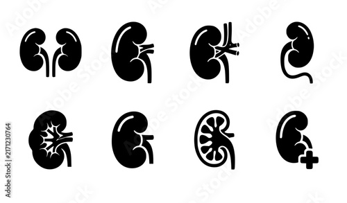 Medical Kidney Organ Silhouette Icon Pack with Anatomical Vector Stencils