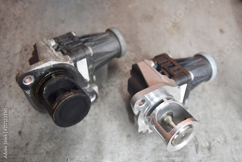 Canvastavla valves or exhaust gas recirculation (EGR) systems