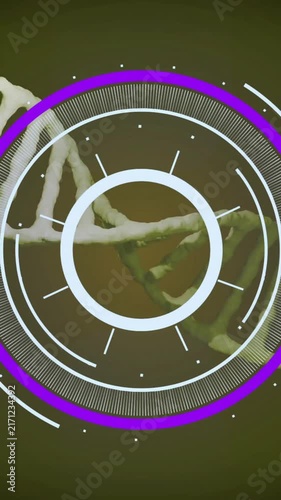 DNA strand and circular digital interface, scientific data processing animation