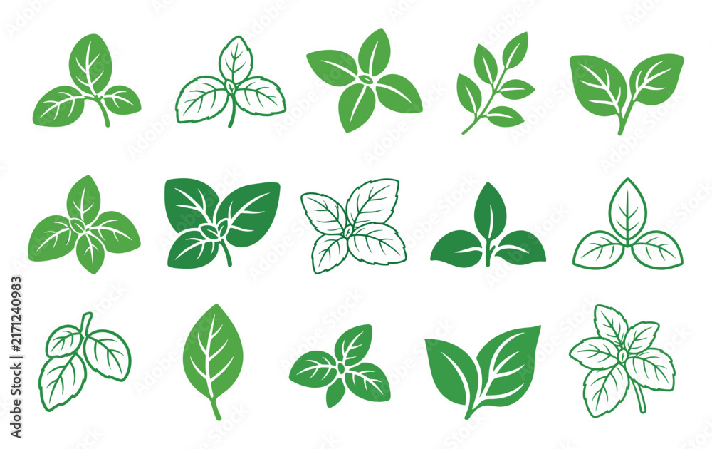 Obraz premium Fresh green basil leaves vector icon set representing organic herbs and aromatic spices for healthy cooking, culinary seasoning, and natural food design