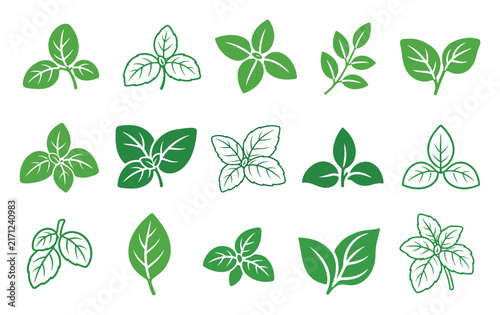Fresh green basil leaves vector icon set representing organic herbs and aromatic spices for healthy cooking, culinary seasoning, and natural food design