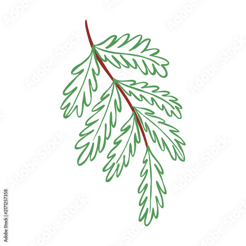 Hand-drawn line art vector illustration of a spruce branch. Outline clip art for seasonal sticker, winter cards, prints, or branding. Minimalist botanical drawing.