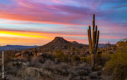 Cinematic & Vibrant Southwestern Desert Sunset Scene With Iconic Saguaro Cactus 