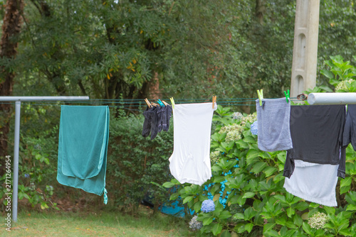 Clothes drying on a line in a backyard surrounded by greenery in a daytime setting