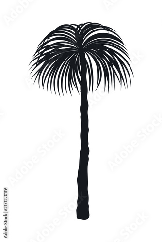 Palm tree icon. Black silhouette. Front and side view. Vector simple flat graphic illustration, hand drawn. Isolated on white background.