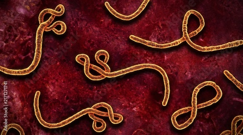 Ebola virus particles under microscope view showing filamentous structure on red background