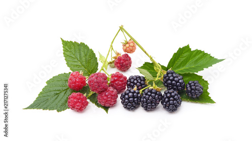Fresh ripe raspberries and blackberries with green leaves isolated on white background.
