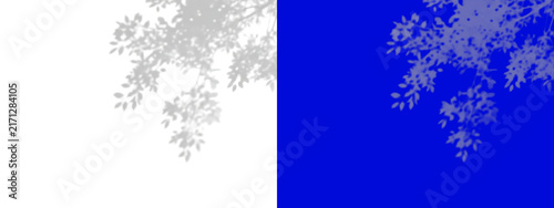 Grey tree branch silhouettes displayed on a split background, featuring a clean, white section and, a bold saturated, blue section for contrast isolated on a transparent background