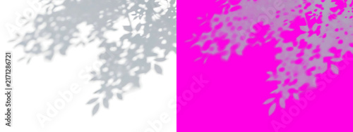 Split screen view showing a grey leafy branch silhouette on a white background, and a soft, grey leafy branch, shadow on a, hot pink background isolated on a transparent background