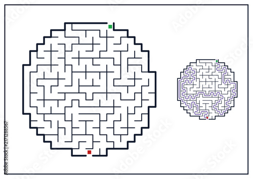 Maze design featuring circular paths and entry-exit points  